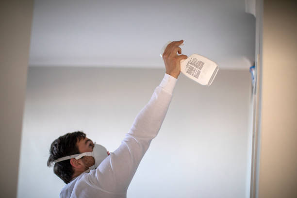 Best Mold Damage Repair  in West Fork, AR